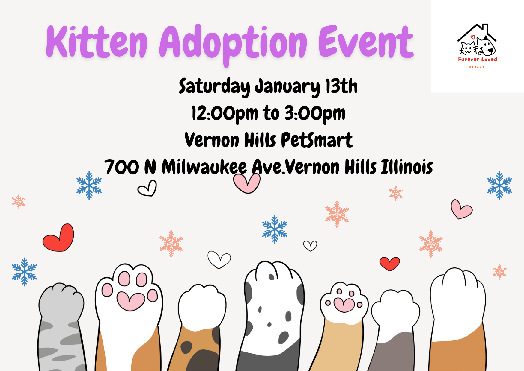 Furever Loved Rescue Bringing love into your life four paws at a time.