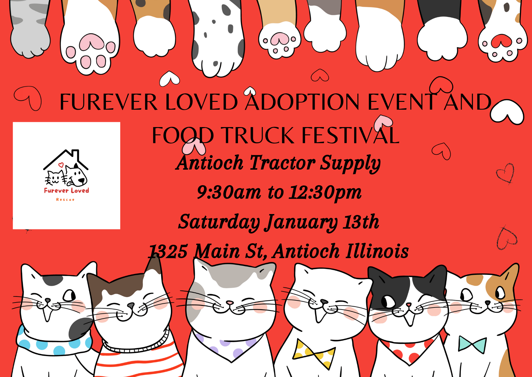 Furever Loved Rescue Bringing love into your life four paws at a time.